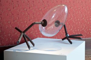 Koen Vanmechelen - The Walking Egg