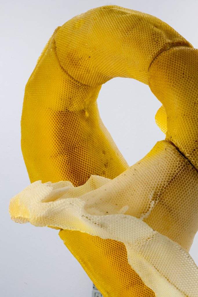 tomáš libertíny's beeswax busts translate vulnerability into strength