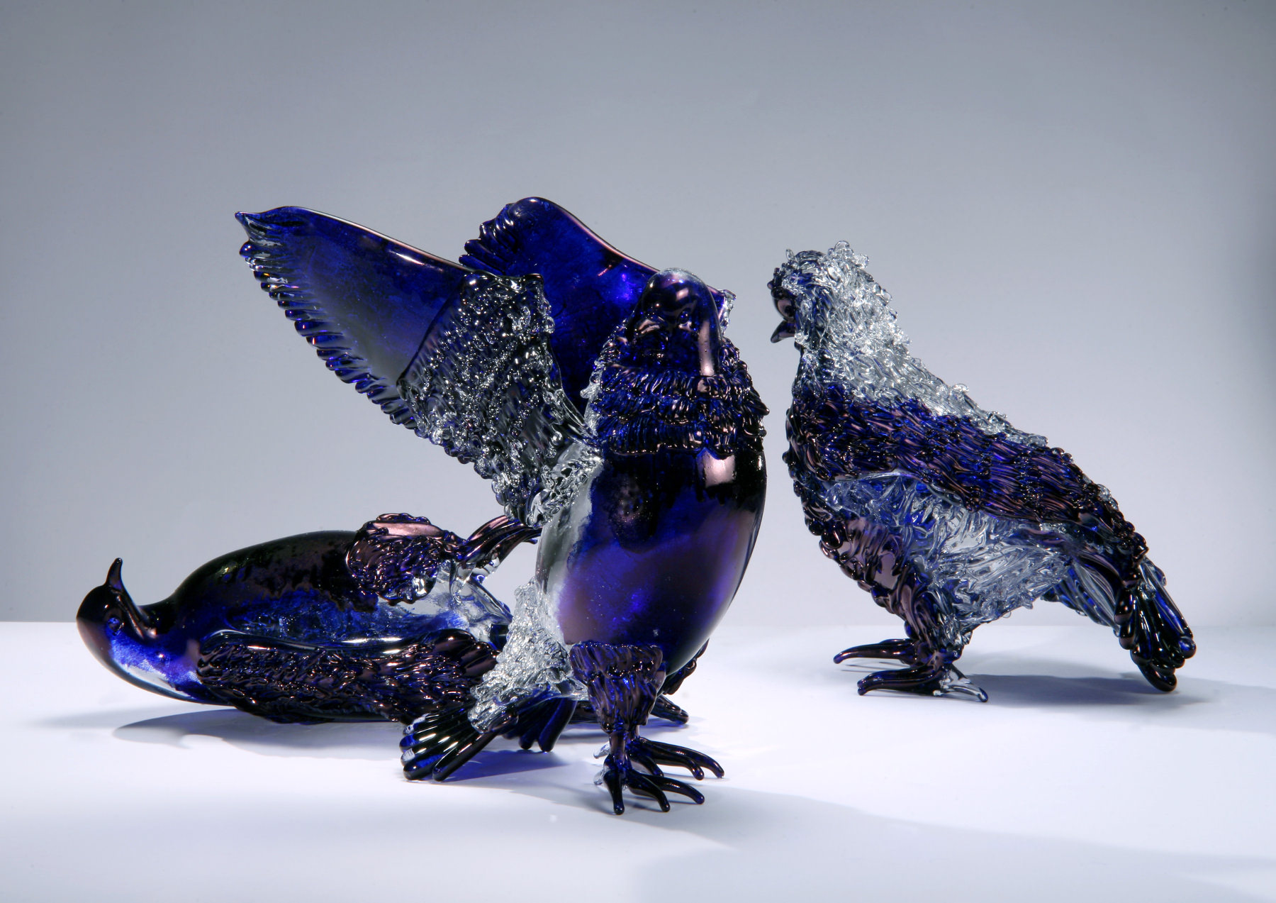 Jan Fabre - Shitting Doves of Peace and Flying Rats